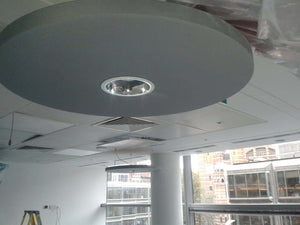 MS Victoria ceiling panels
