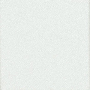 White coloured swatch