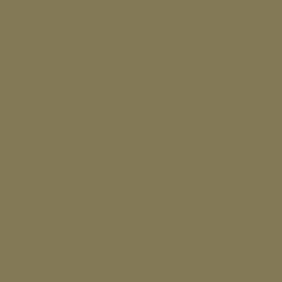 Light Brown colour swatch